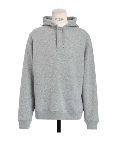 Dior Icons Hooded Sweatshirt In Gray