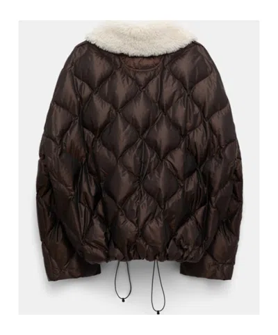 Dorothee Schumacher Down Jacket With Faux Fur Collar In Brown