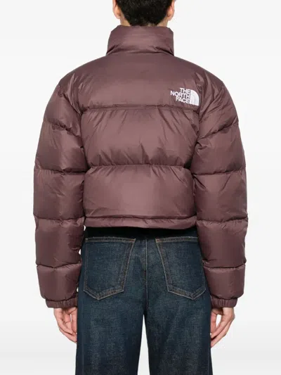 The North Face Nuptse Crop Jacket In Brown
