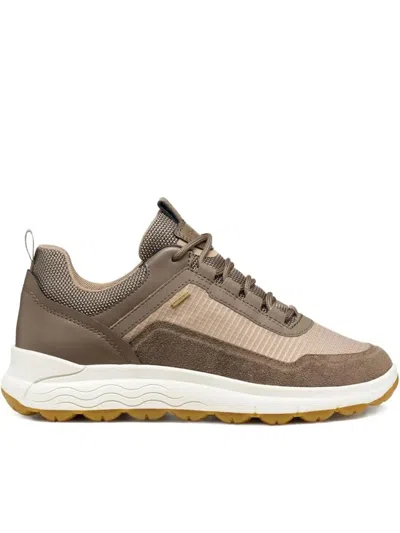 Geox Spherica 4x4 Sneakers In Brown