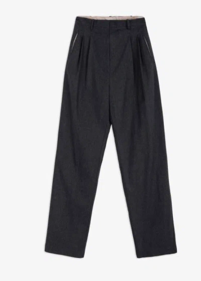 Alysi Pants In Gray