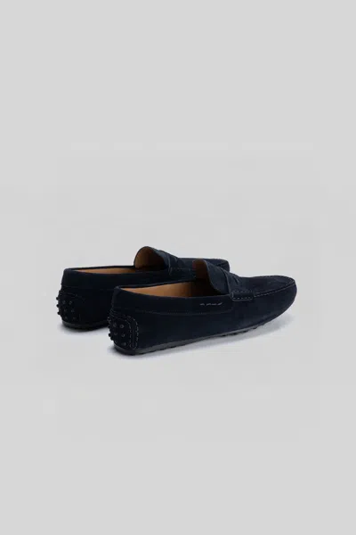 Robert Barakett Conor Penny Loafer In Blue