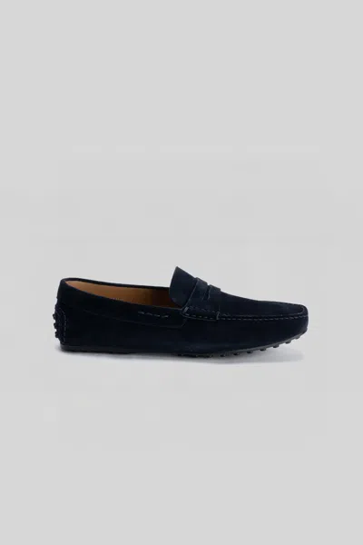Robert Barakett Conor Penny Loafer In Blue