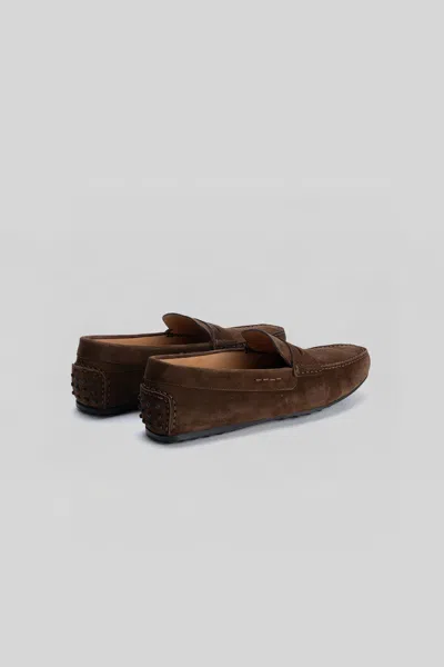 Robert Barakett Conor Suede Driving Loafer In Brown