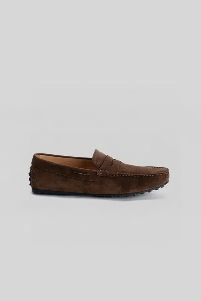 Robert Barakett Conor Suede Driving Loafer In Brown