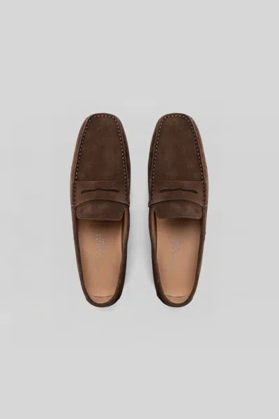 Robert Barakett Conor Suede Driving Loafer In Brown