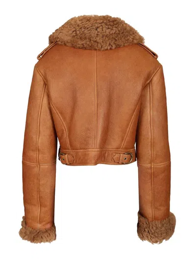 Chloé Cropped Shearling-trimmed Leather Jacket In Brown