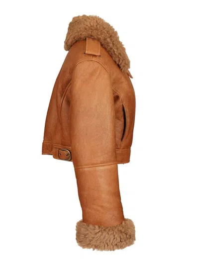 Chloé Cropped Shearling-trimmed Leather Jacket In Brown
