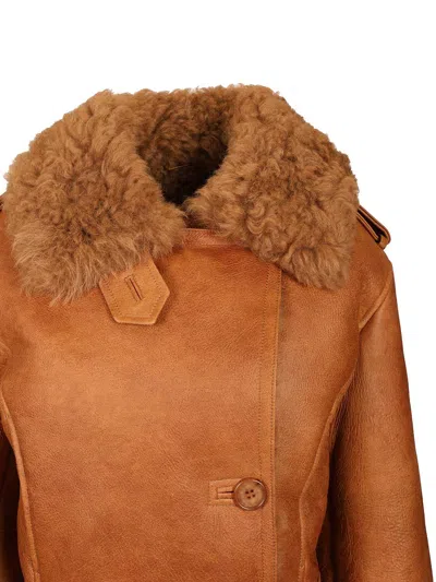Chloé Cropped Shearling-trimmed Leather Jacket In Brown