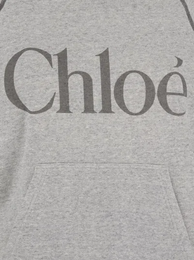 Chloé Cotton Blend Logo Hoodie In Gray