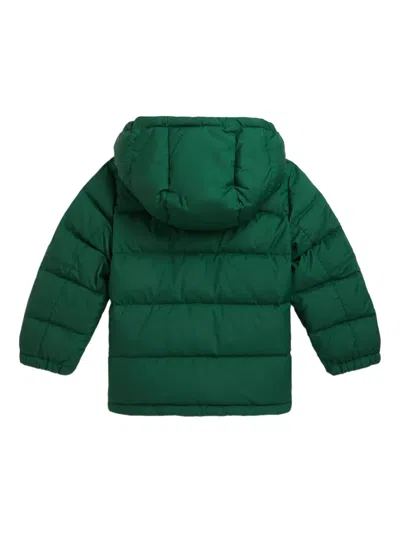 Polo Ralph Lauren Big Boys Ripstop Down Hooded Jacket In Green