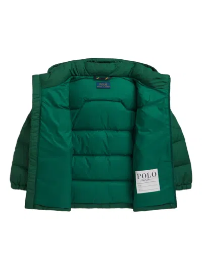 Polo Ralph Lauren Big Boys Ripstop Down Hooded Jacket In Green