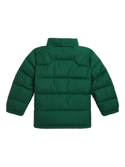 Polo Ralph Lauren Big Boys Ripstop Down Hooded Jacket In Green