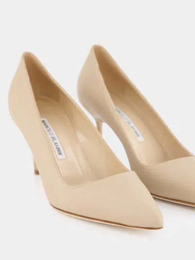 Manolo Blahnik Pointed High Heels In Brown