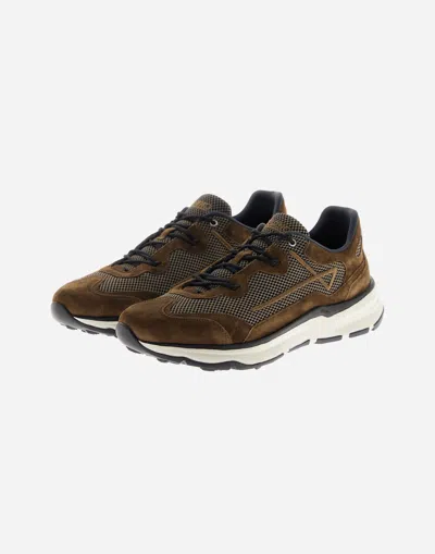 Herno Men Nylon Trainers With Rubberised Details In Brown
