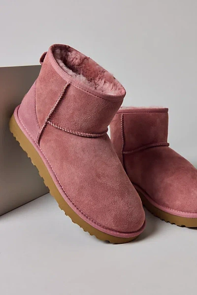 Ugg Snow Boots W Classic Mini Ii In Pink