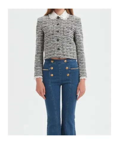 Marissa Chiara Lace Trim Jacket In Gray