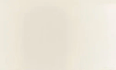 Smeg Cgf11 Coffee Grinder In White