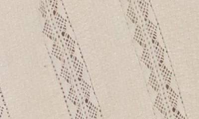 Amuse Society It's Showtime Knit Button-up Shirt In Neutral