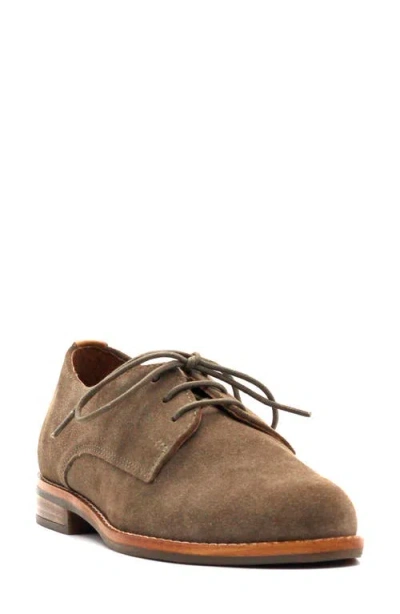 Gentle Souls Women's Aronson Almond Toe Suede Lace-up Oxford Shoes In Brown