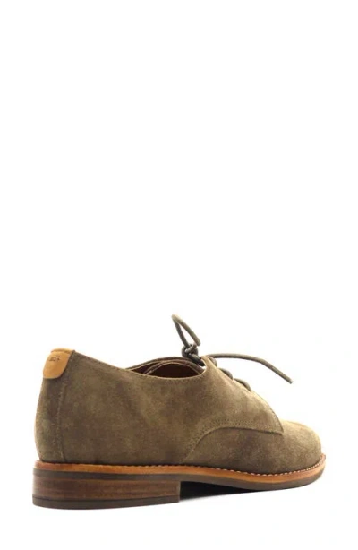 Gentle Souls Women's Aronson Almond Toe Suede Lace-up Oxford Shoes In Brown