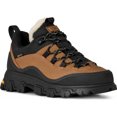 Ugg Metrotrek Hiker Sneakers In Brown