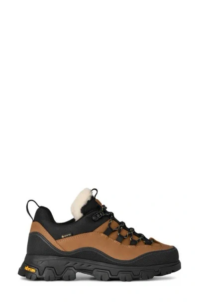 Ugg Metrotrek Hiker Sneakers In Brown