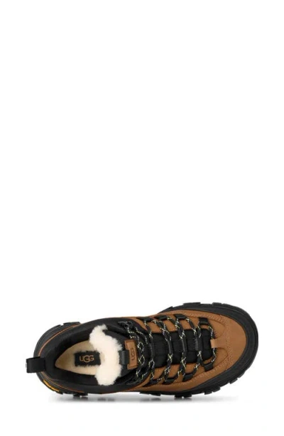 Ugg Metrotrek Hiker Sneakers In Brown