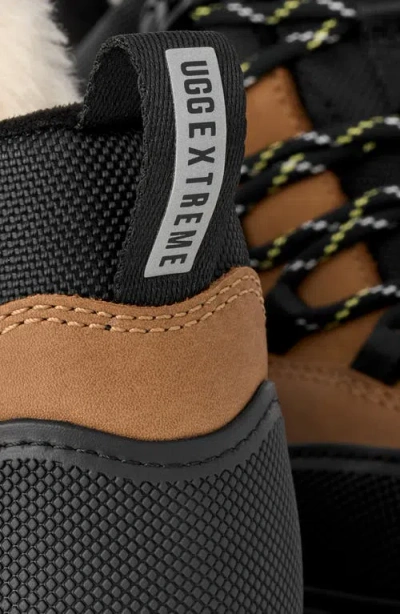 Ugg Metrotrek Hiker Sneakers In Brown