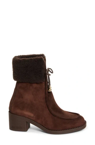 Jimmy Choo Hali Genuine Shearling Lined Bootie In Brown