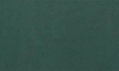 Pleasures Don't Go Cotton Graphic T-shirt In Green