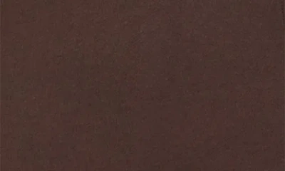 Pleasures Overview Logo Graphic Hoodie In Brown