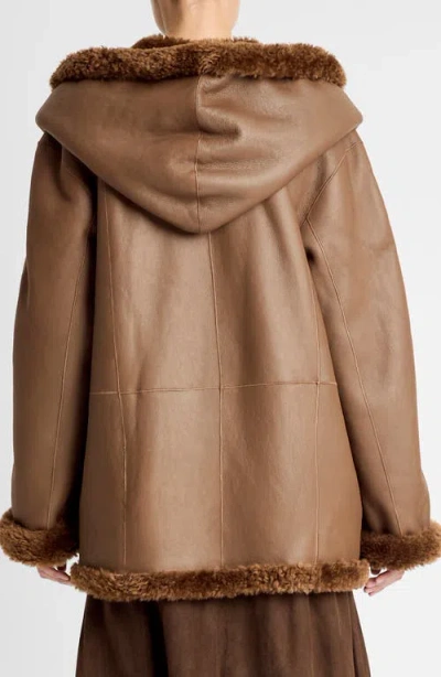 Vince Hooded Genuine Shearling Jacket In Brown