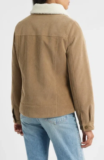 Pendleton Wind River Corduroy Trucker Jacket With Removable Fleece Collar In Brown