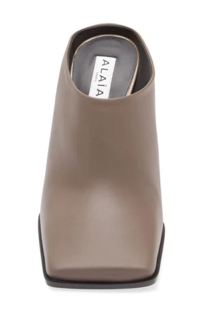 Alaïa Alaia Square-toe Mule In Taupe Grey Women In Animal Print