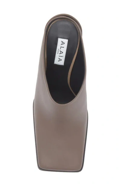 Alaïa Alaia Square-toe Mule In Taupe Grey Women In Animal Print
