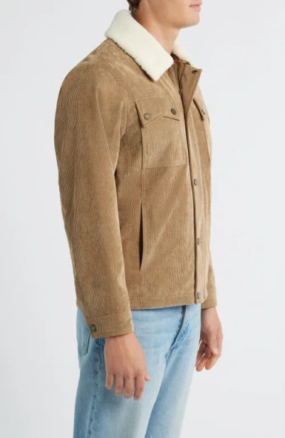 Pendleton Seabeck Corduroy Trucker Jacket With Faux Shearling Lining In Brown