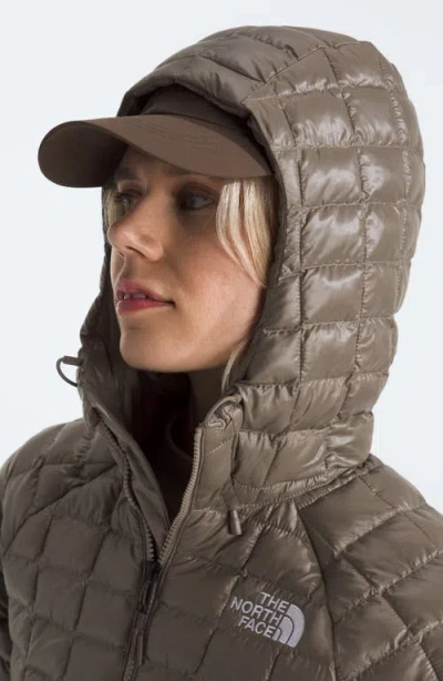 The North Face Women's Thermoball Hooded Parka Jacket In Green