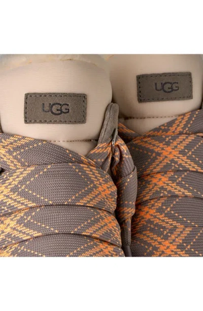 Ugg(r) Highmel Lace-up Boot In Animal Print