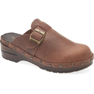 Chocolat Blu Yullia Clog In Brown
