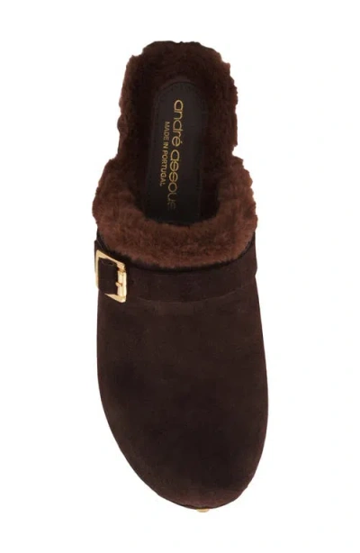 Andre Assous André Assous Orla Platform Clog In Brown