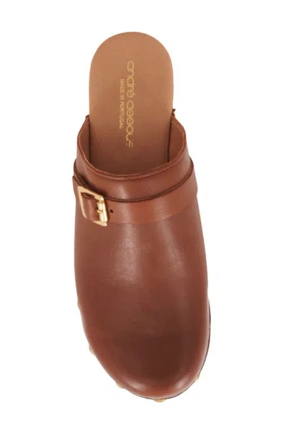 Andre Assous André Assous Orla Platform Clog In Brown