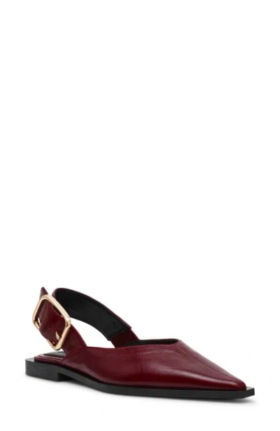 Steve Madden Women's Shay Slingback Pointed-toe Flats In Burgundy
