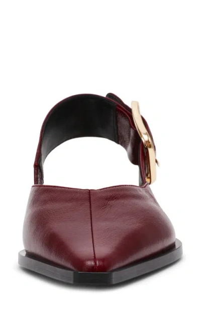Steve Madden Women's Shay Slingback Pointed-toe Flats In Burgundy