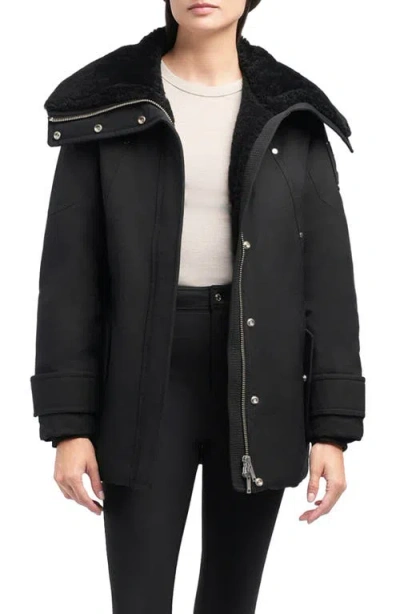 Moose Knuckles Aurora Water Repellent Genuine Shearling Lined 800 Fill Power Down Jacket In Black