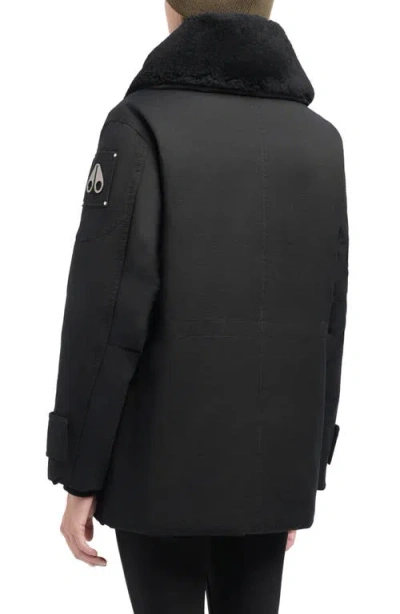 Moose Knuckles Aurora Water Repellent Genuine Shearling Lined 800 Fill Power Down Jacket In Black