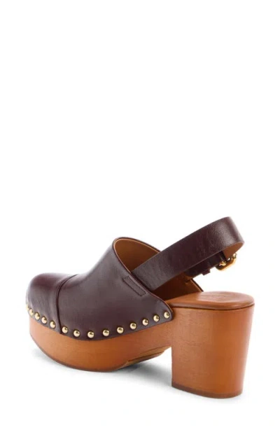 Chloé Jeanette Slingback Platform Clog In Animal Print