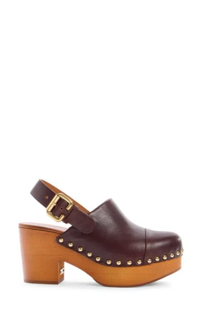 Chloé Jeanette Slingback Platform Clog In Animal Print