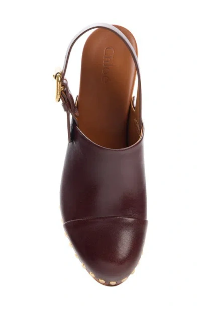 Chloé Jeanette Slingback Platform Clog In Animal Print