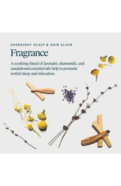 Virtue Overnight Scalp & Hair Elixir In Blue